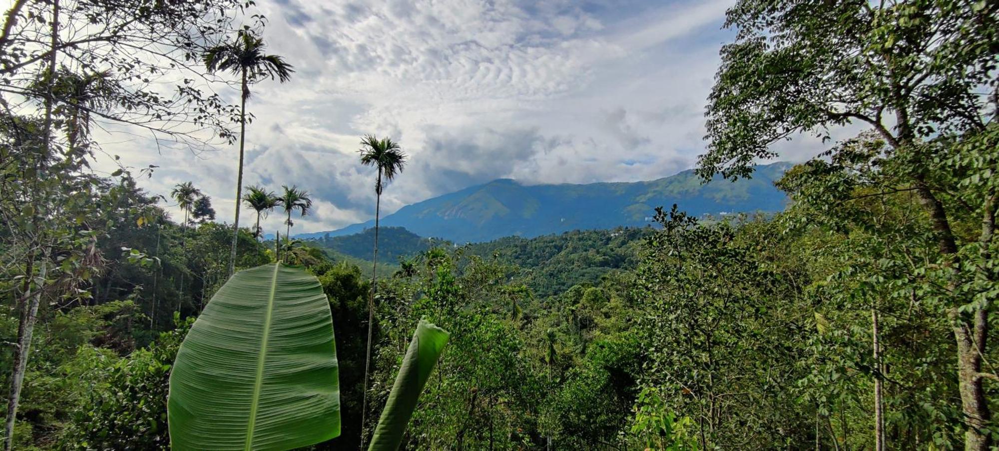 Chalona Hill View Hotel Munnar Luaran gambar